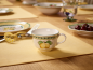 Preview: 1022811270 French Garden Fleurence, tea cup