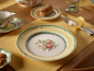 Preview: 1022822620 French Garden Valence, dinner plate