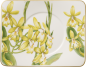 Preview: 1035141280 Amazonia, tea saucer