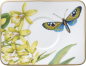 Preview: 1035141430 Amazonia, mocha-/espresso saucer