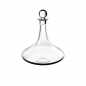 Preview: 1176160231 Vinobile, Medoc connoisseur decanter