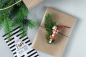 Preview: 1483316690, Villeroy & Boch, Nostalgic Ornaments, Ornaments candy cane, set of 3 pieces.