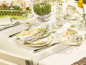 Preview: 1486381301, Villeroy & Boch, Spring Awakening, Kaffeeobertasse