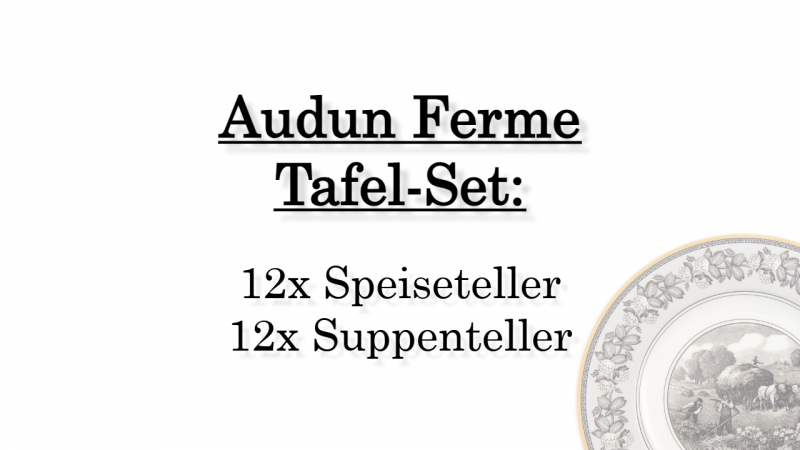 1010674003 Audun Ferme, dinner set, 12 persons