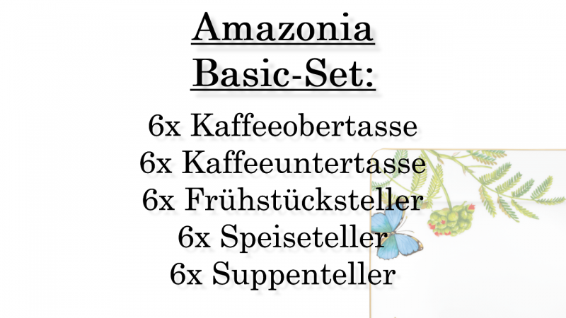 1035144002 Amazonia, basic-set, 6 persons