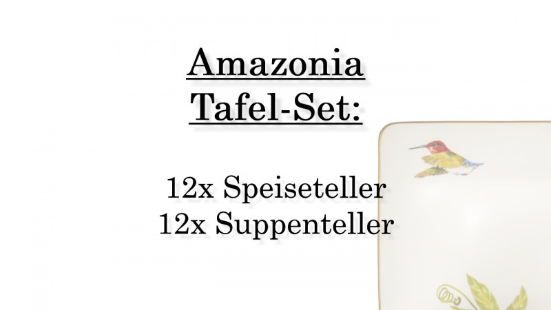 1035144003 Amazonia, Tafel-Set, 12 Personen