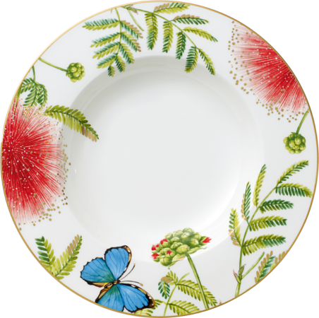 1043812700 Amazonia Anmut, soup plate