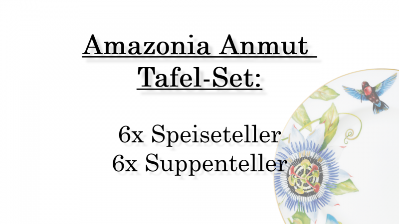 Villeroy & Boch, Amazonia Anmut, Tafel-Set 6 Pers.