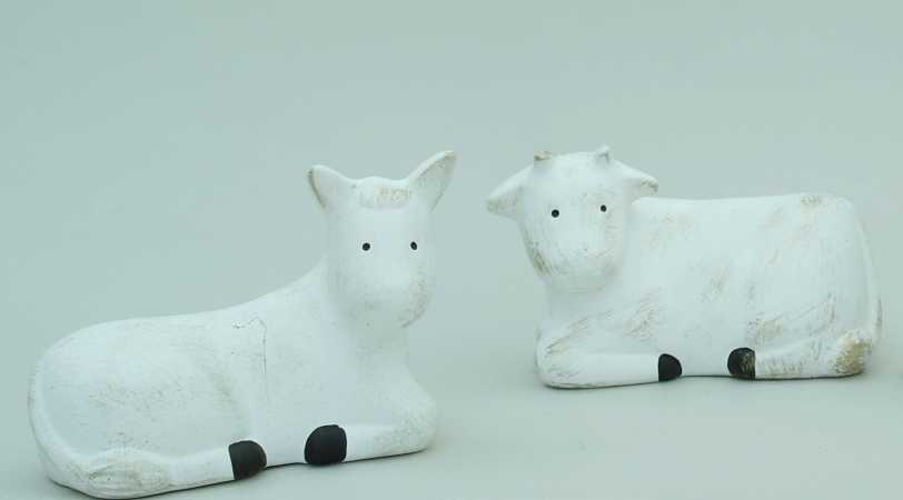 Singer Angel - Ox + Donkey 2 pcs - 20 / 24 cm