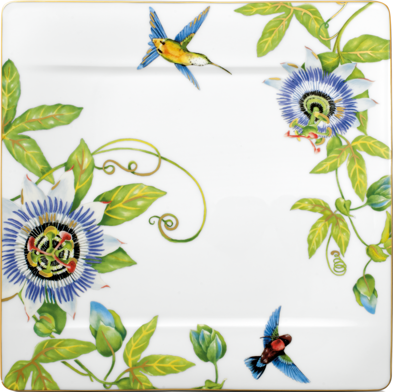 1035142680 Amazonia, gourmet plate