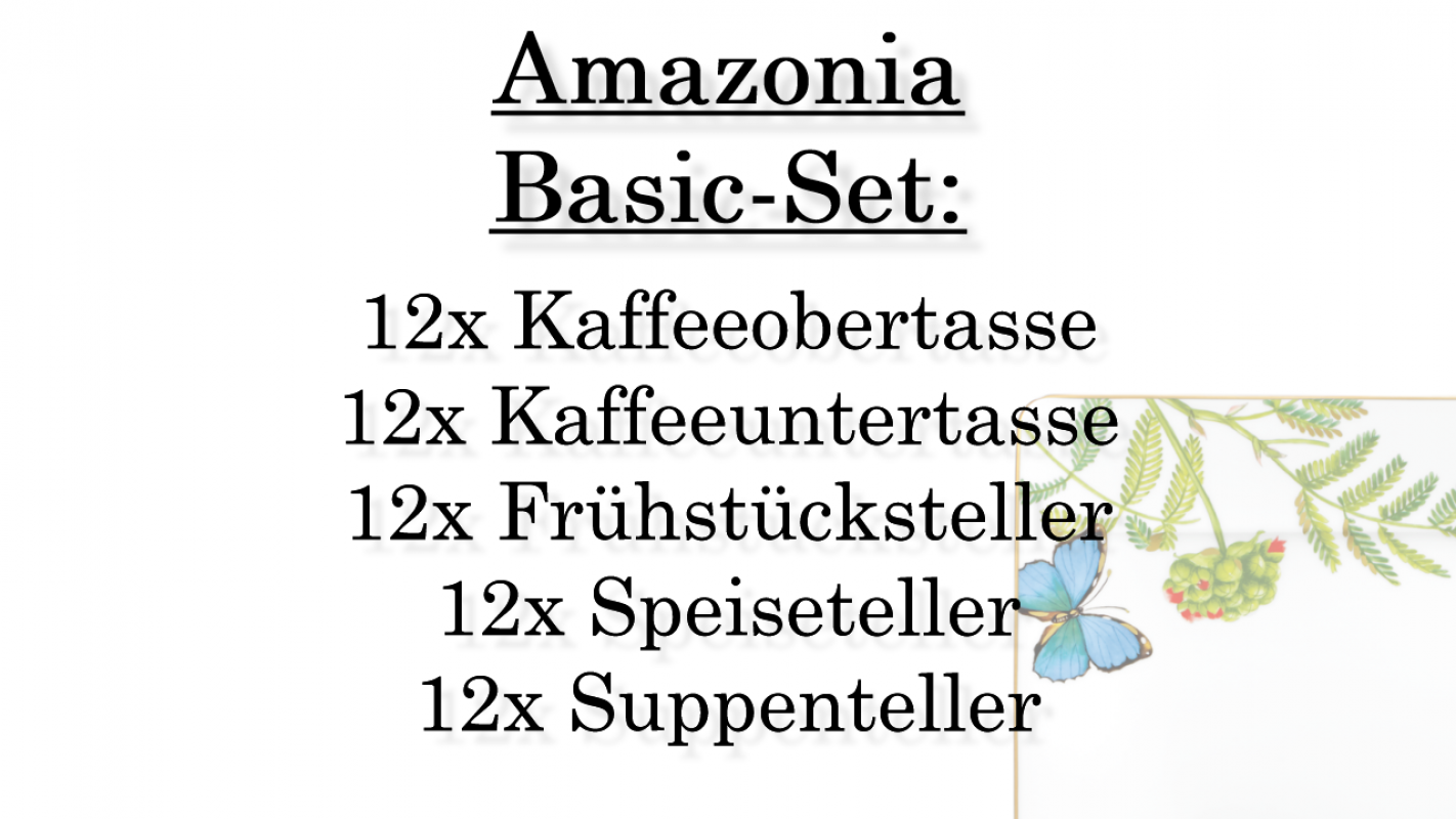 1035144001 Amazonia, Basic-Set, 12 Personen