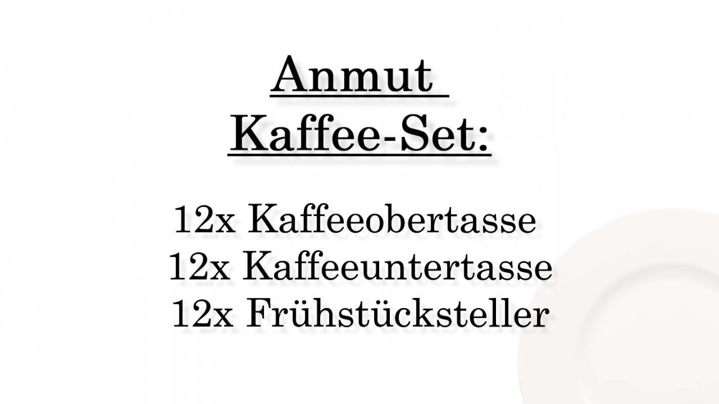 1045454005 Anmut, coffee set, 12 persons