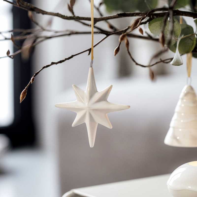 1486714345 Winter Glow, ornament star