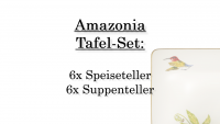 Villeroy & Boch, Amazonia, Tafel-Set 6 Pers.