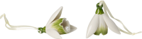 Villeroy & Boch, Mini Flower Bells, Snowdrop, Set of 2pcs.